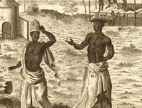 Guinea propria, 1743 (detail)