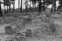 African American cemetery, July 1939