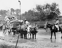 Rappahannock River, Va. Fugitive African Americans fording the Rappahannock, August 1862