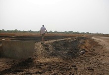 Rice field dyke in Gambia, 2009