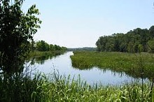 Rice field dyke in South Carolina