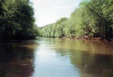 Etowah River, near the Coosa River, Alabama