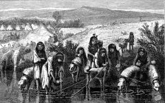 Dog travois used by Native Americans