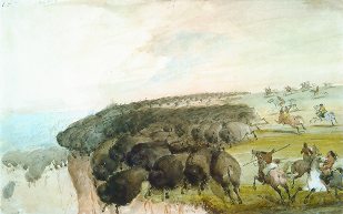 Alfred Jacob Miller, Driving Herds of Buffalo over a Precipice, 1867