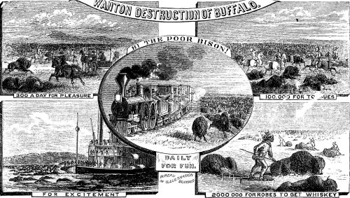 Wanton Destruction of Buffalo in W. E. Webb, Buffalo Land, 1872