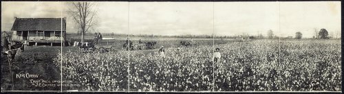 Sharecropping, Tennessee, 1907