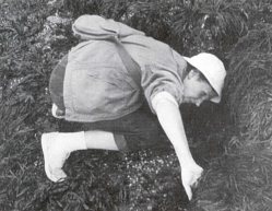 Rachel Carson exploring tide pools