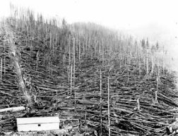 Big Blowup of 1910, Idaho