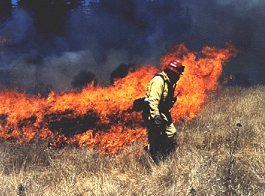 Tending a prescribed burn, California, 1997