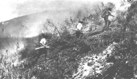 California wildfire, 1934