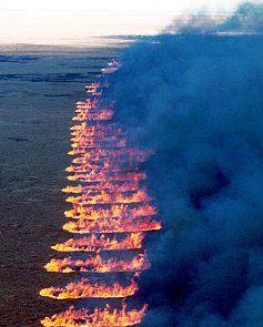 Controlled burn, Florida, 2001