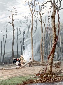 Harvey Ellis, Spring: Burning Fallen Trees in a Girdled Clearing, 1841