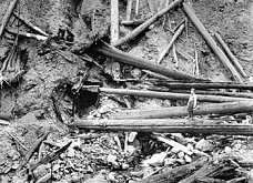 Entrance to mine tunnel at Placer Creek