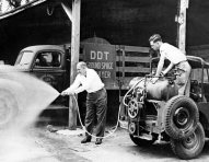 Spraying DDT, Florida, 1948